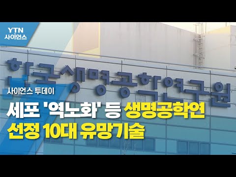   세포 역노화 등 생명공학연 선정 10대 유망기술 YTN 사이언스