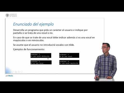 Check if the character is a vowel | 17/61 | UPV