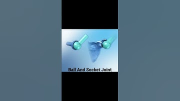 Ball And Socket Joint 💥