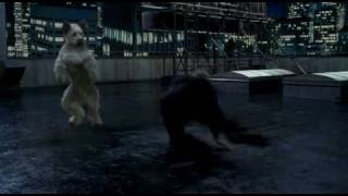 Karate Dog klip 5 - Karate Dog vs Jon Voight
