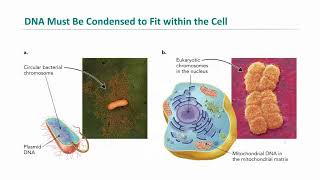 BIO367 Biochemistry Chapter 3