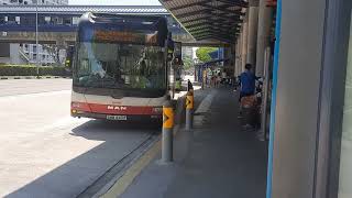 SMRT MAN A22 NL323F (SMB1343P) on service 913 at bus stop 46779