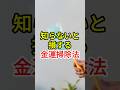 誰も教えない最強の金運掃除法3選