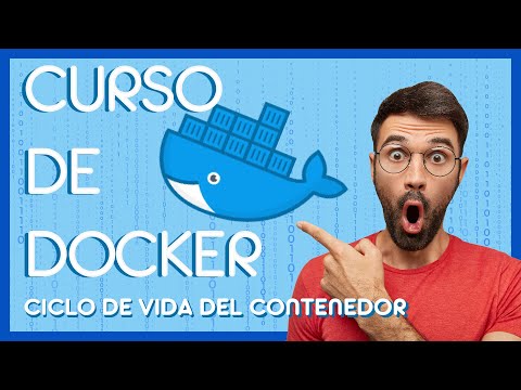 05 - Curso de DOCKER 🐳 - Ciclo de vida de los contenedores