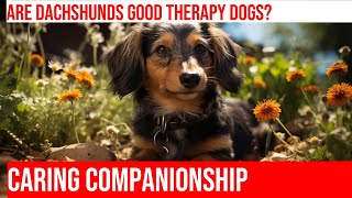 Dachshunds as Therapy Animals: Comfort & Companionship for the Elderly by Happy Hounds Hangout No views 2 weeks ago 4 minutes, 11 seconds