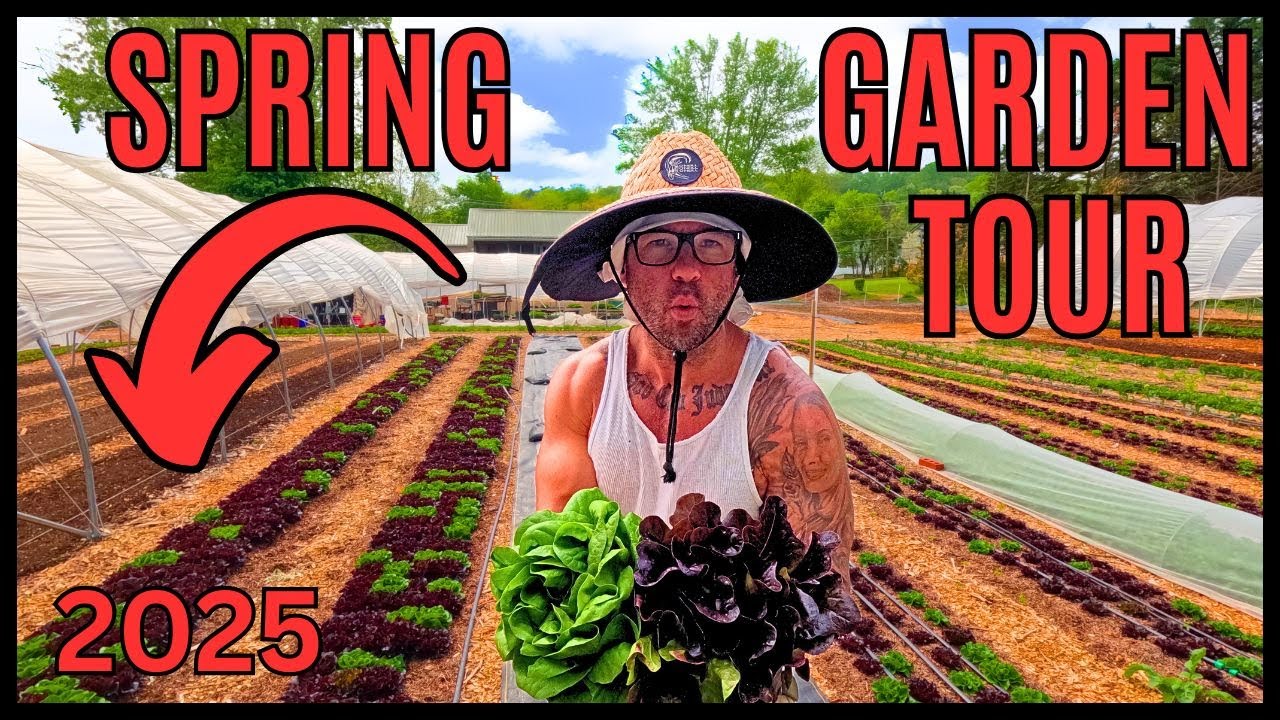 April Rise Farm APRIL HARVESTS THAT MAKE $2,500/WEEK ON 1/4 ACRE OF LAND! - YouTube