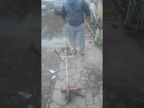 Nicolaie guta 2018
