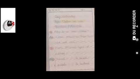 Grade 1 Evs Dated 15 06 2021