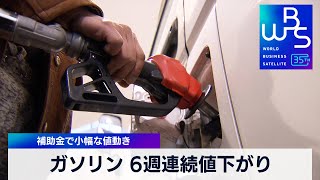 ガソリン6週連続値下がり 補助金で小幅な値動き【WBS】（2024年2月21日）