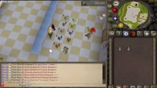 Dawntained Rsps - From Losing Bank To Making Bank