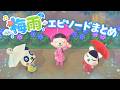 【あつ森アニメ】パンダ家族の☂️梅雨☂️エピソードまとめ🐌【総集編】