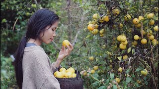 Mứt Chanh, Trà Chanh Cho Mùa Đông | Lemon Jam, Lemon Tea