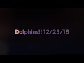 Napali craze  dolphin watching 122318