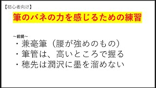 【初心者向け】筆のバネの力を感じるための練習