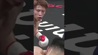 A brutal knockout as the fighter risks it all to go out on a shield.