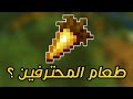 ليه المحترفين كلهم بيستعملو الجزر الذهبي كأكل ليهم في ماينكرافت