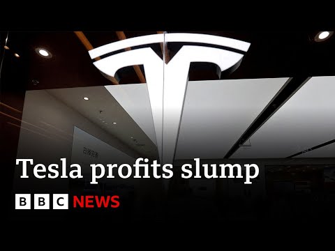 Tesla profits cut in half as demand falls | BBC News