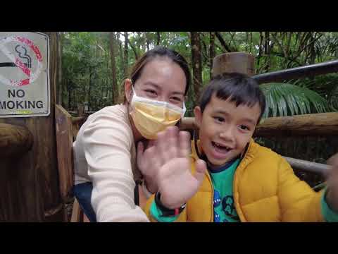 Trip to Tamborine Mountain 2021 GLOW WORM Cave | Australia | The Galon Family