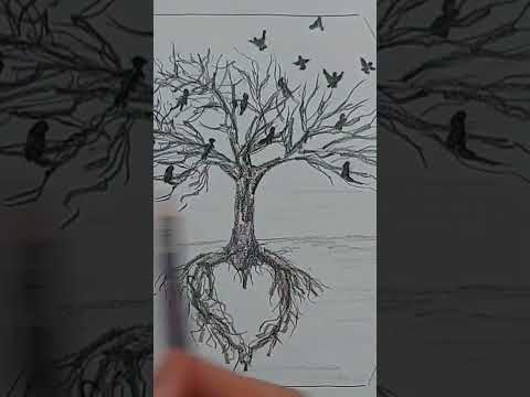 sevgi ağacı 🤍 love tree