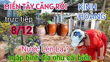 KHỦNG KHIẾP MIỀN TÂY NGAY LÚC NÀY NƯỚC LŨ DỒN DẬP ĐỔ VỀ NGẬP BÌNH ĐỊA ĐƯỜNG LỘ NHÀ CỬA NHƯ CÁI BIỂN