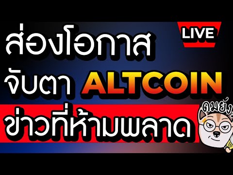 อัพเดทโอกาส และ เรื่องที่ห้ามพลาดในโลก Crypto ณ ตอนนี้ | ตอบคำถามทางบ้าน EP.26