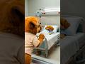 Poor Dog Bhai Ki Mehnat 😭 | Sister Ke Liye Sab Kuch | AI Story #aistory #poordog #cutedog #dogvideo