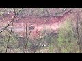 Tijela sve četiri radnice sarajevske škole izvučena iz Miljacke