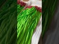 Product display of 4-leg Green Round Sling assy with chain components