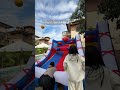 We Got Addicted to This Backyard  Inflatable Basketball Game😂#shorts #familyfun #Entertainment