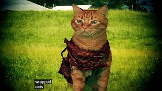 Free Range Bacon Wrapped Cats