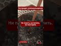 Из крана течёт мазут! Беларуска показала «воду», за которую требует платить ЖКХ #новости #беларусь