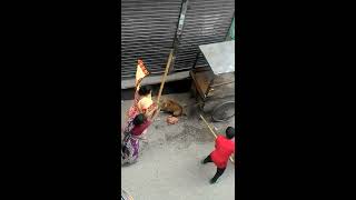 Brutal Street Dog Fight, Babu And Jonny At Alu Bazaar Dhaka Bangladesh