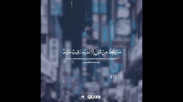 سورة ق الآيات ( ١٦ - ١٧ - ١٨) | تلاوة القارئ وديع اليمني