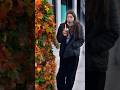 Bushman Ambushes Celebrity Shopping Spree
