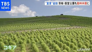 関東３県もきょうから“宣言”対象に・・・例年賑わう公園は閑散