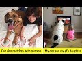 Wholesome Pictures That Show How Dogs Make Kids Life Better