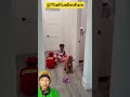 Semuanya di usir⁉️ #funny #cute #baby #trendingshort