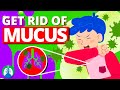 How To Get Rid of Mucus and Phlegm in Your Lungs