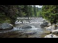 Deep Relax River Sounds | Calm Forest Atmosphere for Calm Mind #RiverSounds