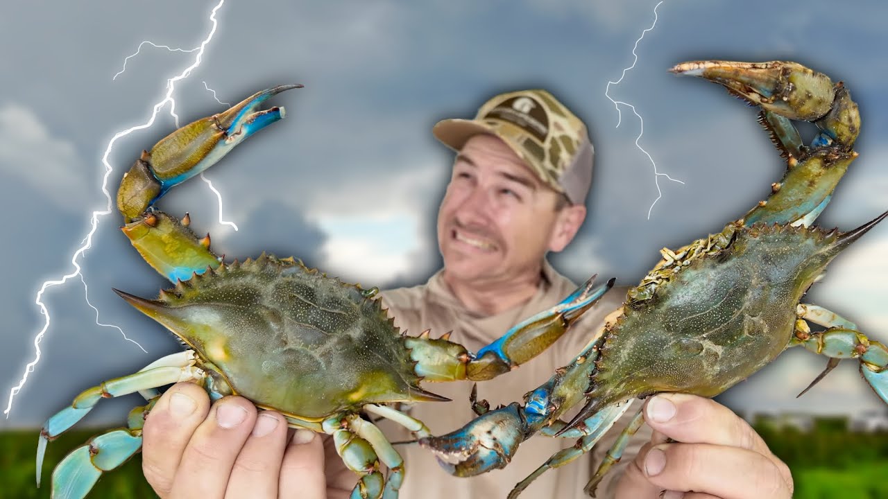 Dodging STORMS to Catch Blue CRABS ( Catch and Cook )