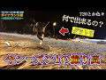 【今シーズン1の撮り高】上手過ぎるグラトリを撮影！