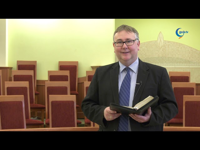 1230 Merényi Zoltán