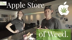 THE APPLE STORE OF WEED 🌳 Seattle, Washington | Vela Cannabis Recreational Marijuana Pot Shop Tour