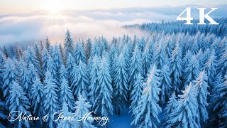 Música suave de piano invernal – Ambiente nevado de pueblos europeos ❄️ screenshot 2