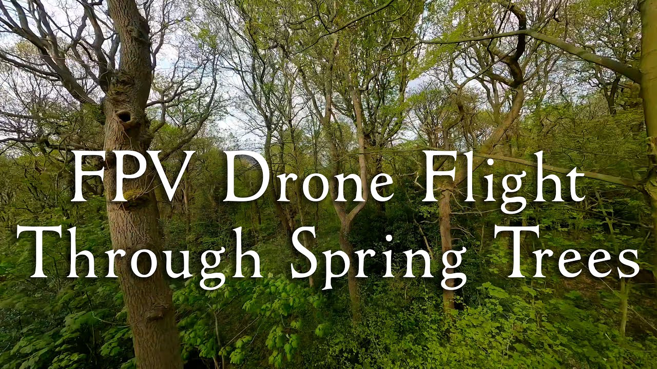 Gliding Through Spring Trees | FPV Drone Flight in Sheffield