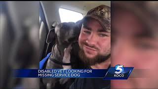 Disabled veteran hopes to find missing service dog