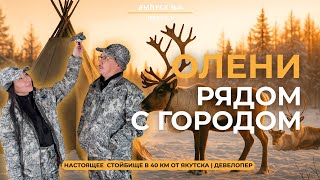 видео: ОЛЕНИ РЯДОМ С ГОРОДОМ — КЕМПИНГ  картинка: ОЛЕНИ РЯДОМ С ГОРОДОМ — КЕМПИНГ