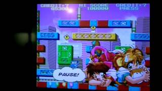 Cheap VGA Scanlines (SLG) for Retro Systems