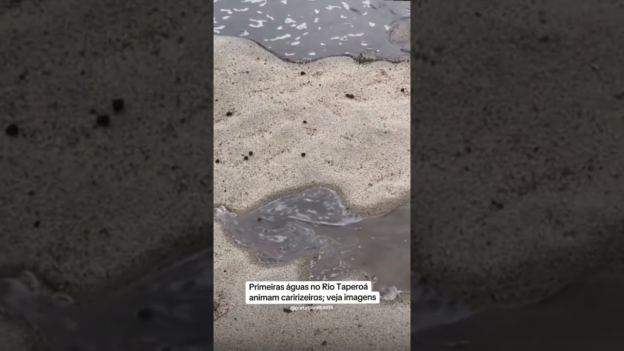 Primeiras águas no Rio Taperoá animam caririzeiros; veja imagens