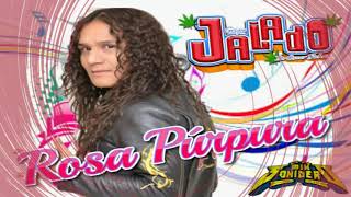 Grupo Jalado 2019 Rosa Púrpura lo más nuevo chords